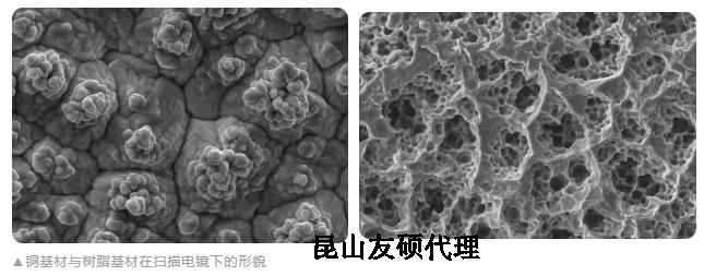 朝阳蔡司朝阳扫描电镜